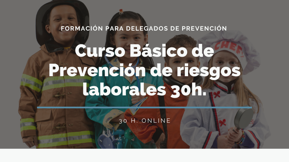 CURSO BÁSICO DE 30 HORAS DE PRL. (SECTORES) 