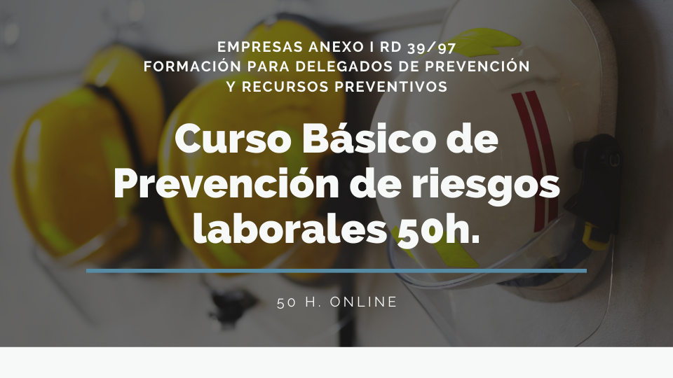 CURSO BÁSICO DE 50 HORAS DE PRL. (SECTORES) 