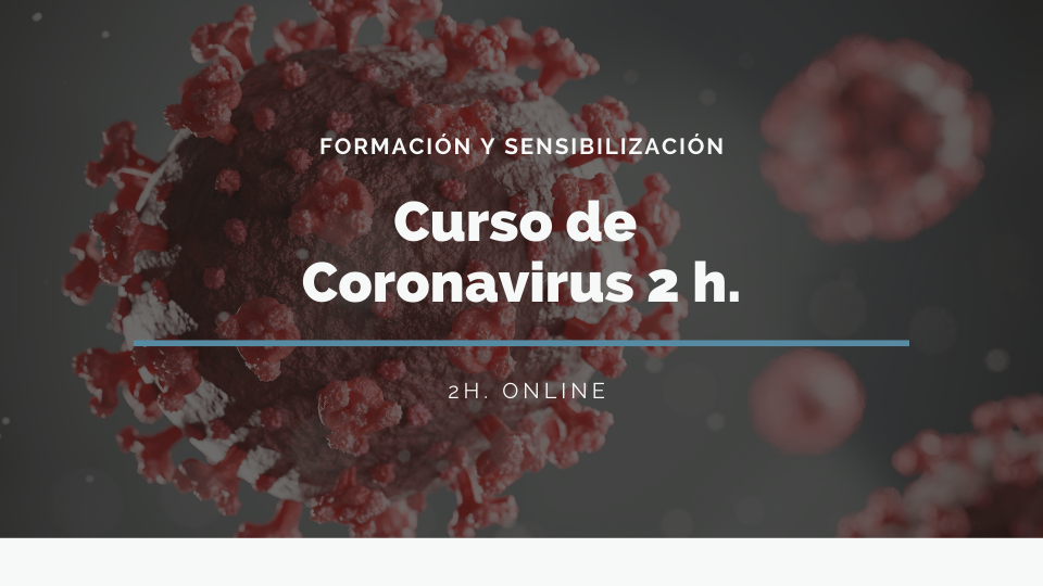 CURSO DE CORONAVIRUS (2h.)
