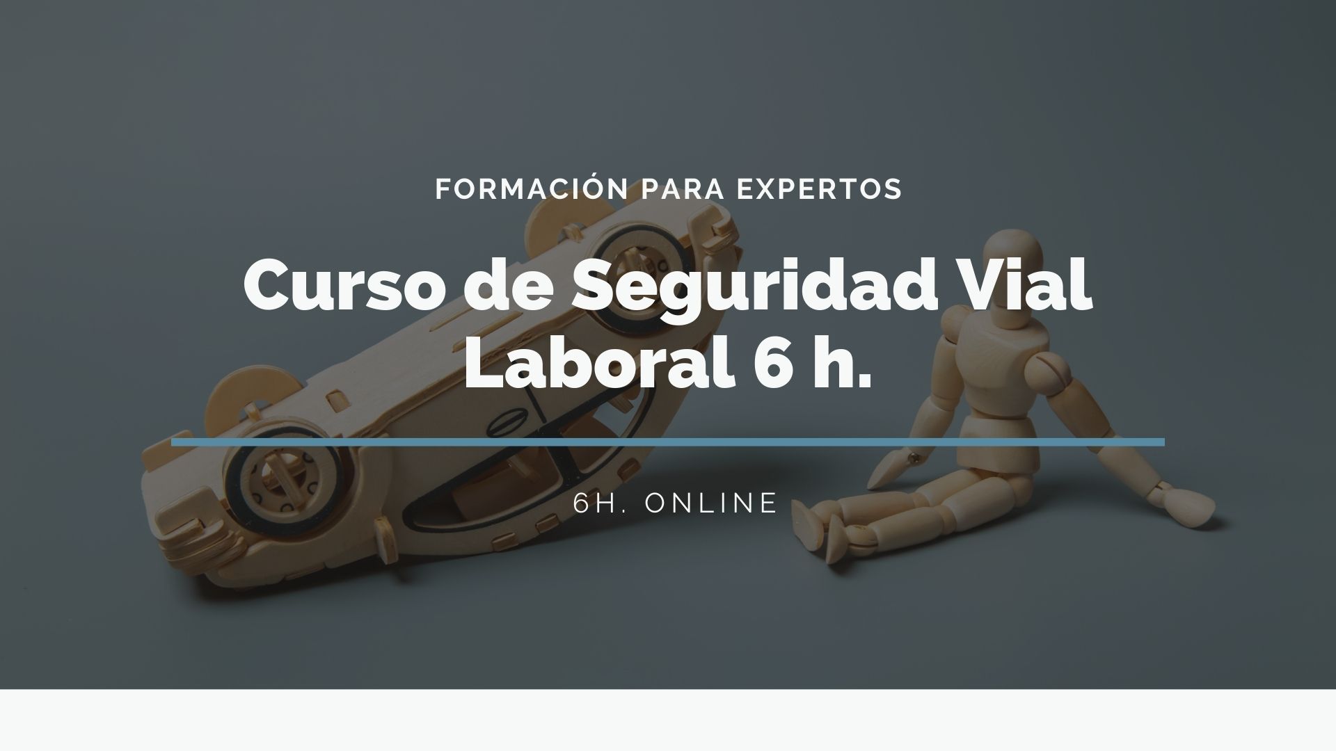 CURSO DE SEGURIDAD VIAL LABORAL (6h) 